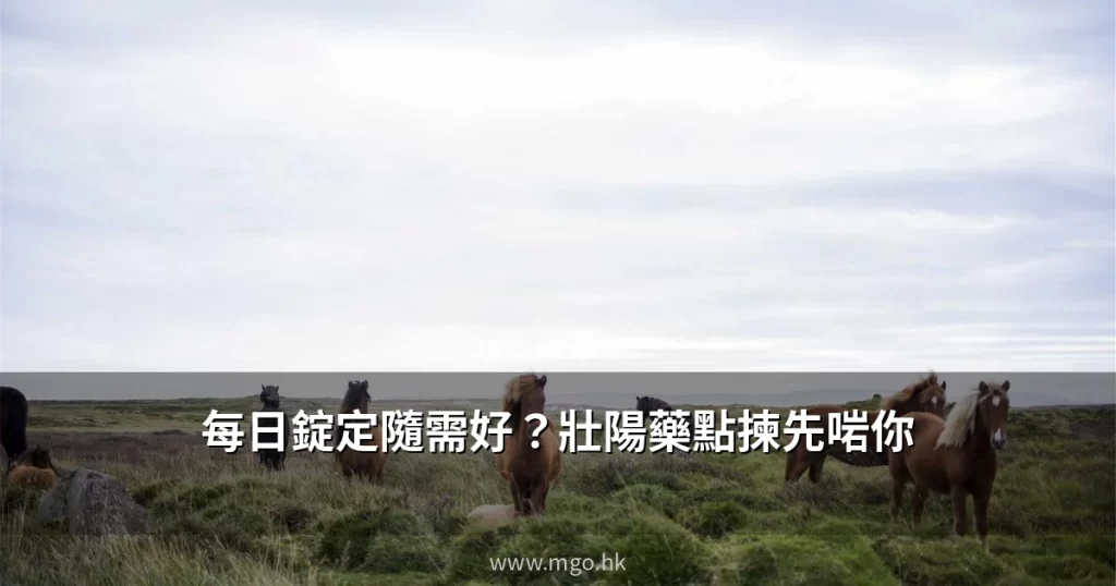 壯陽藥每日錠同隨需服用選擇指南